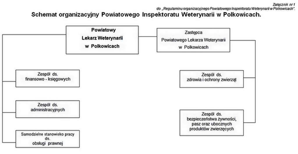 Schemat organizacyjny